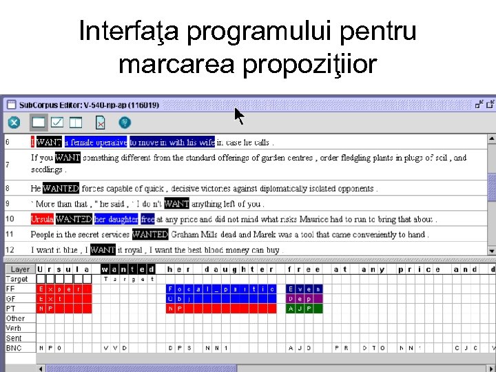 Interfaţa programului pentru marcarea propoziţiior 