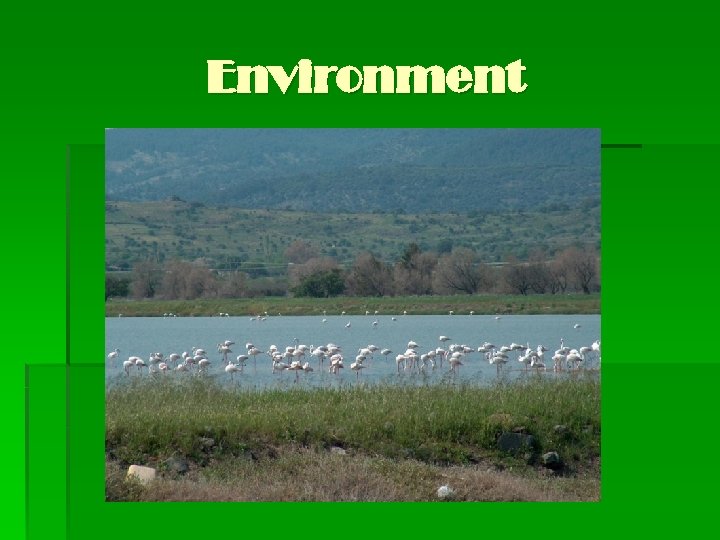 Environment 