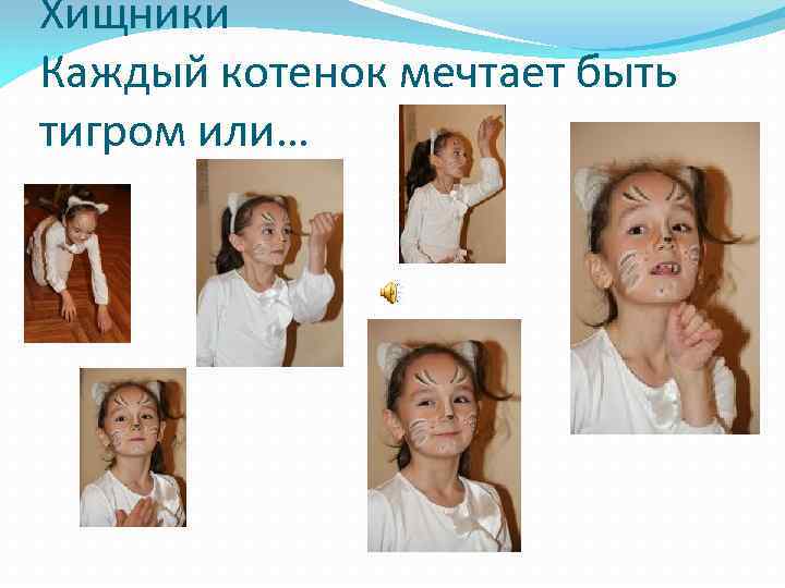 Хищники Каждый котенок мечтает быть тигром или… 