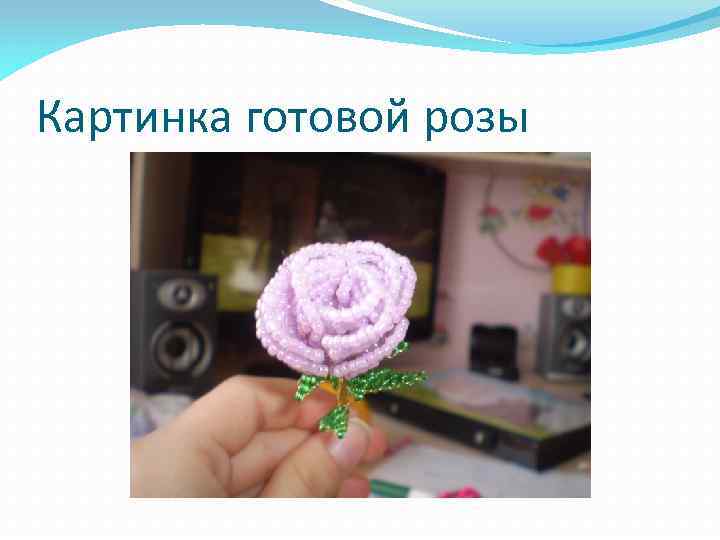 Картинка готовой розы 