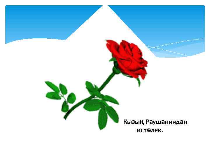 Кызың Раушаниядан истәлек. 