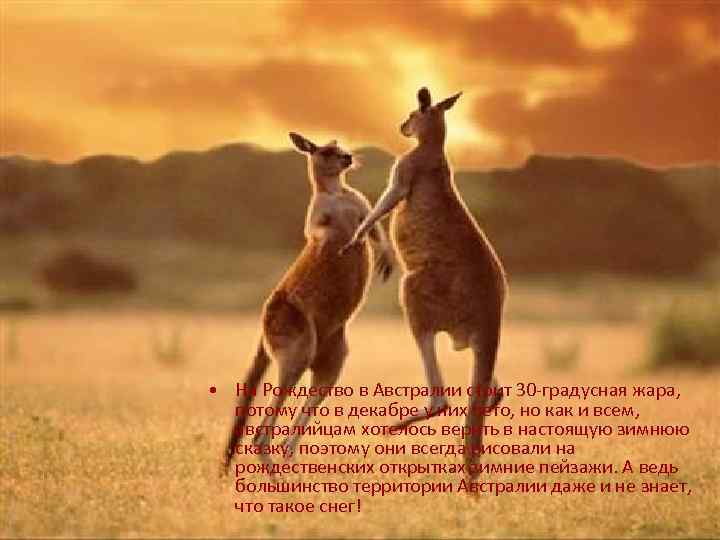  • На Рождество в Австралии стоит 30 -градусная жара, потому что в декабре