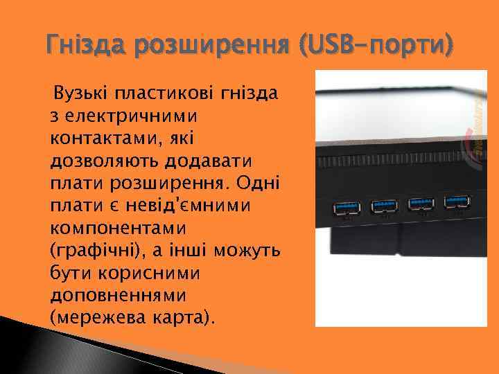 Гнізда розширення (USB-порти) Вузькі пластикові гнізда з електричними контактами, які дозволяють додавати плати розширення.