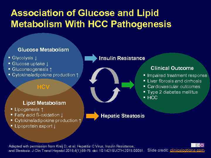 Association of Glucose and Lipid Metabolism With HCC Pathogenesis Glucose Metabolism § § Glycolysis