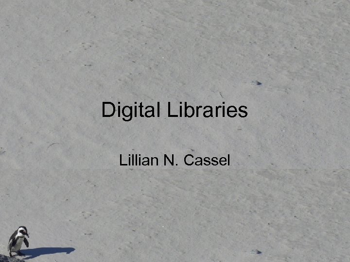 Digital Libraries Lillian N. Cassel 