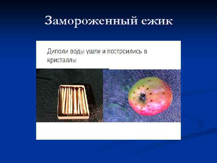 Замороженный ежик 