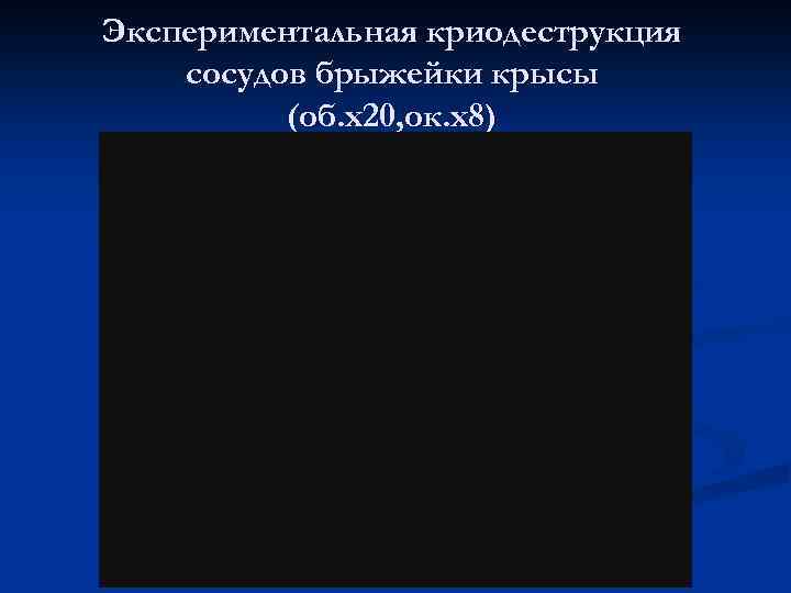 Экспериментальная криодеструкция сосудов брыжейки крысы (об. х20, ок. х8) 