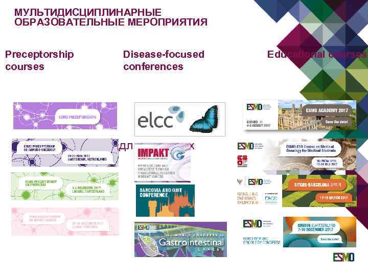 МУЛЬТИДИСЦИПЛИНАРНЫЕ ОБРАЗОВАТЕЛЬНЫЕ МЕРОПРИЯТИЯ Preceptorship courses Disease-focused conferences Трэвел-гранты для молодых онкологов Educational courses 