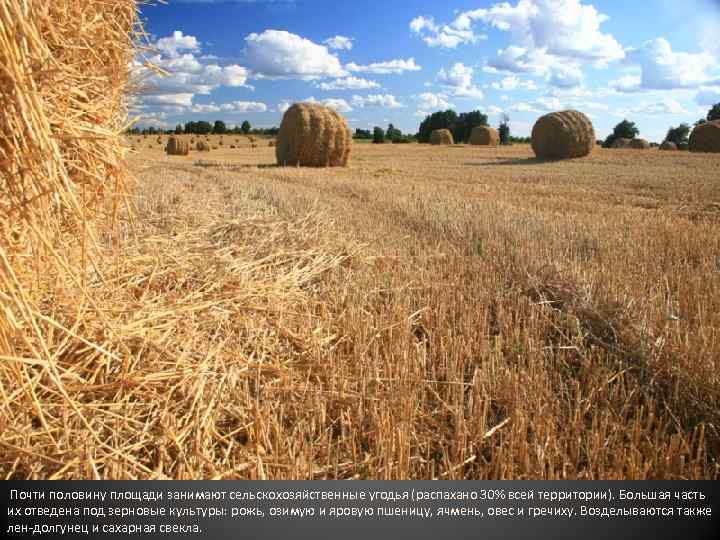 Почти половину площади занимают сельскохозяйственные угодья (распахано 30% всей территории). Большая часть их отведена