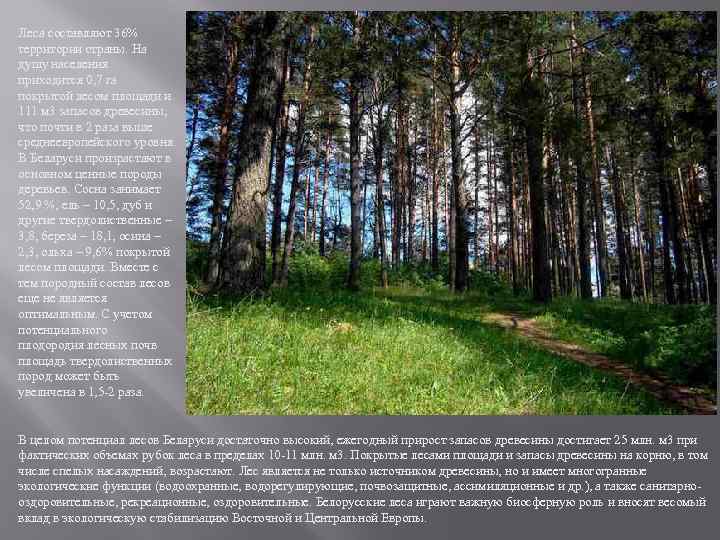 Леса составляют 36% территории страны. На душу населения приходится 0, 7 га покрытой лесом