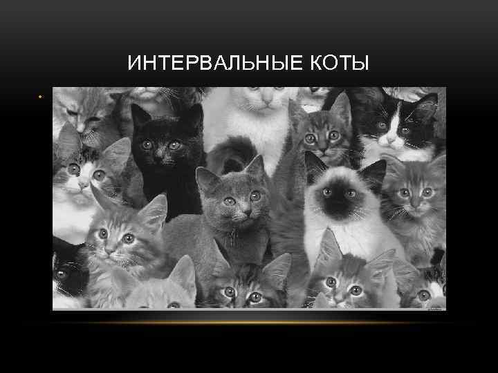 ИНТЕРВАЛЬНЫЕ КОТЫ • 