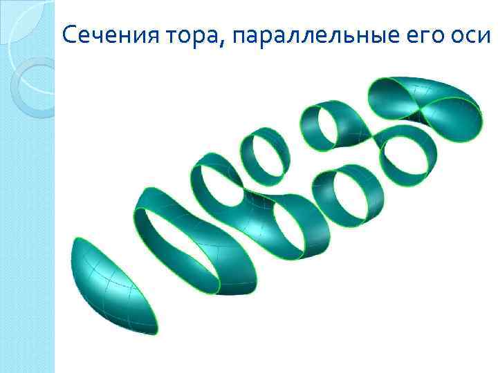 Сечения тора, параллельные его оси 