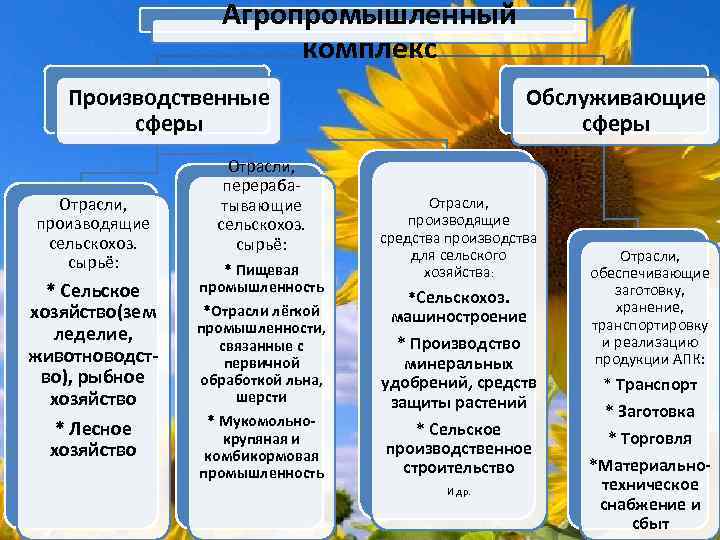 Программа агропромышленный комплекс. Структура АПК России. Сферы агропромышленного комплекса. Агропромышленная отрасль. Отрасли АПК.