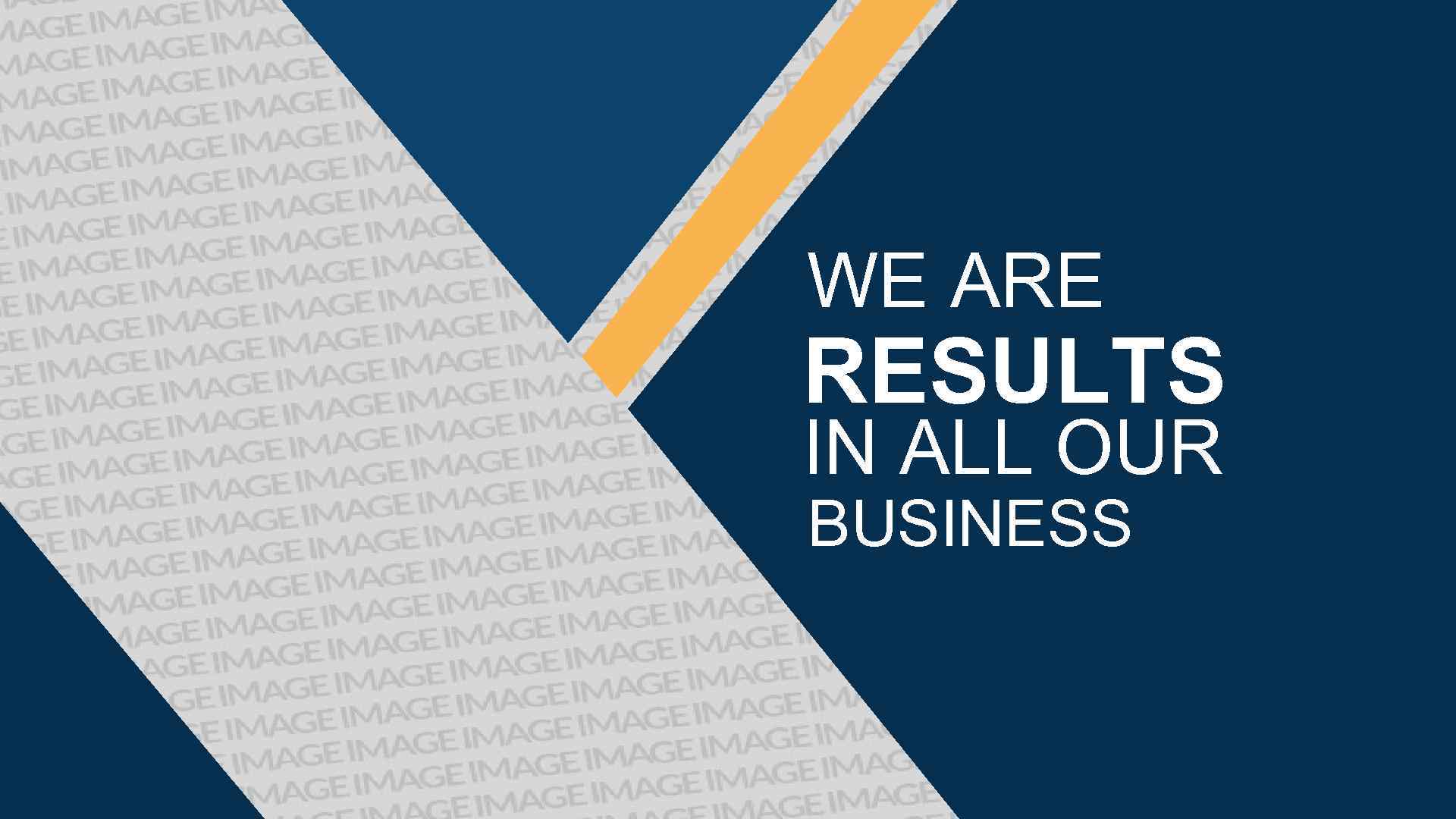WE ARE RESULTS IN ALL OUR BUSINESS 