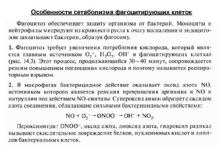 Особенности сетаболизма фагоцитирующих клеток 