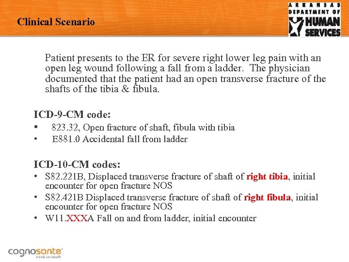Clinical Scenario Patient presents to the ER for severe right lower leg pain with
