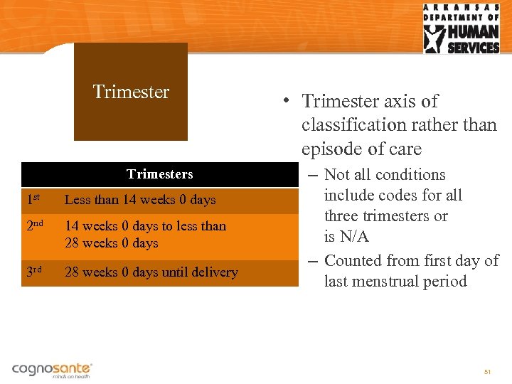 Trimesters 1 st Less than 14 weeks 0 days 2 nd 14 weeks 0