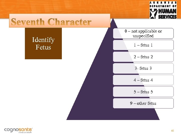 Identify Fetus 0 – not applicable or unspecified 1 – fetus 1 2 –