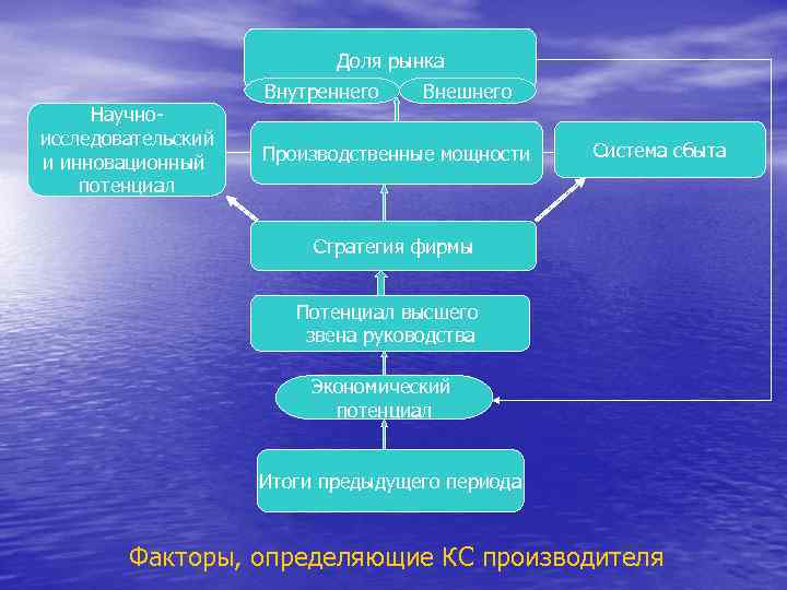 Доля рынка Научноисследовательский и инновационный потенциал Внутреннего Внешнего Производственные мощности Система сбыта Стратегия фирмы