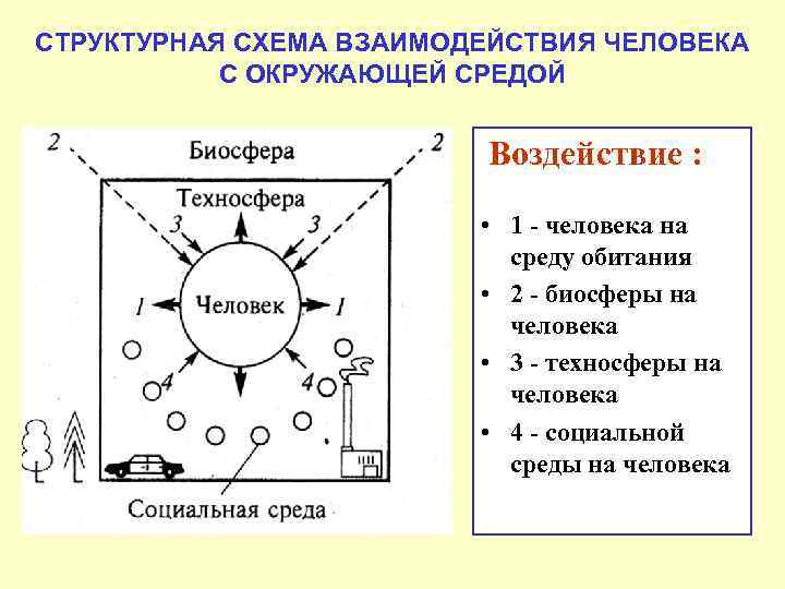 СТРУКТУРНАЯ СХЕМА ВЗАИМОДЕЙСТВИЯ ЧЕЛОВЕКА С ОКРУЖАЮЩЕЙ СРЕДОЙ Воздействие : • 1 - человека на