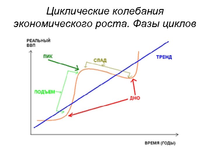 Циклические колебания экономического роста. Фазы циклов 