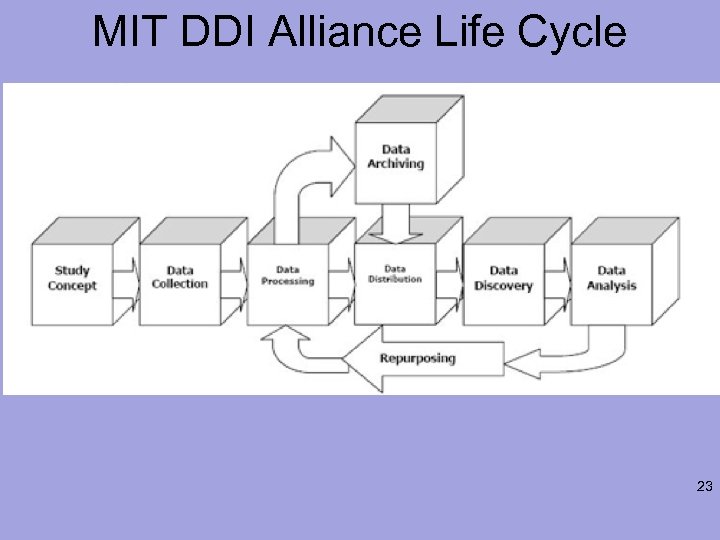 MIT DDI Alliance Life Cycle 23 