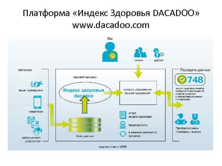 Платформа «Индекс Здоровья DACADOO» www. dacadoo. com 