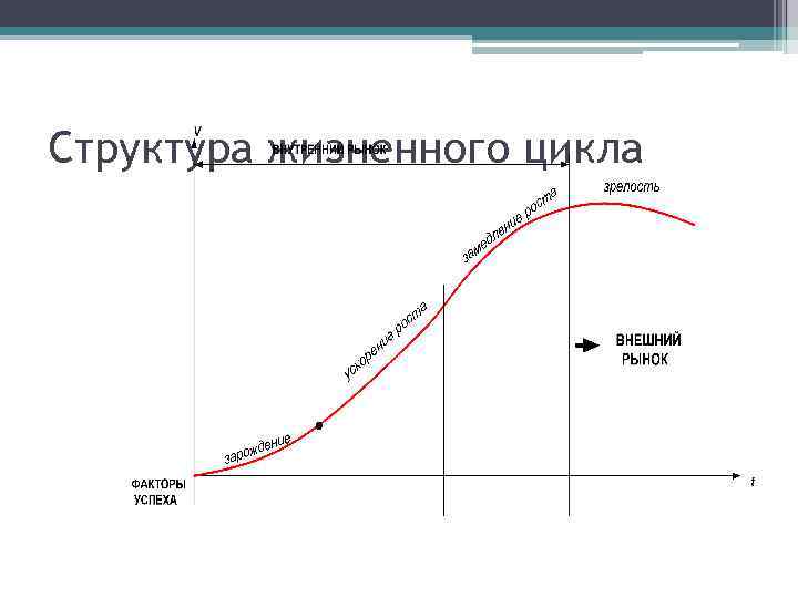 Структура жизненного цикла