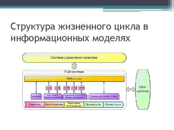 Структура жизненного цикла в информационных моделях 