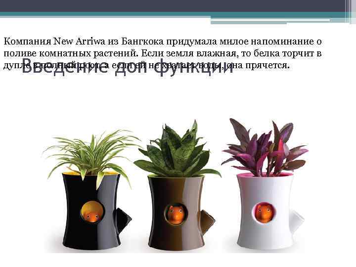 Компания New Arriwa из Бангкока придумала милое напоминание о поливе комнатных растений. Если земля