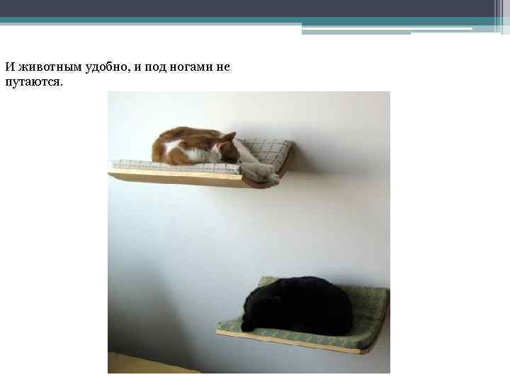 И животным удобно, и под ногами не путаются. 