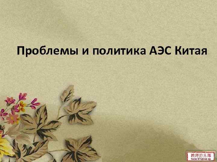 Проблемы и политика АЭС Китая 