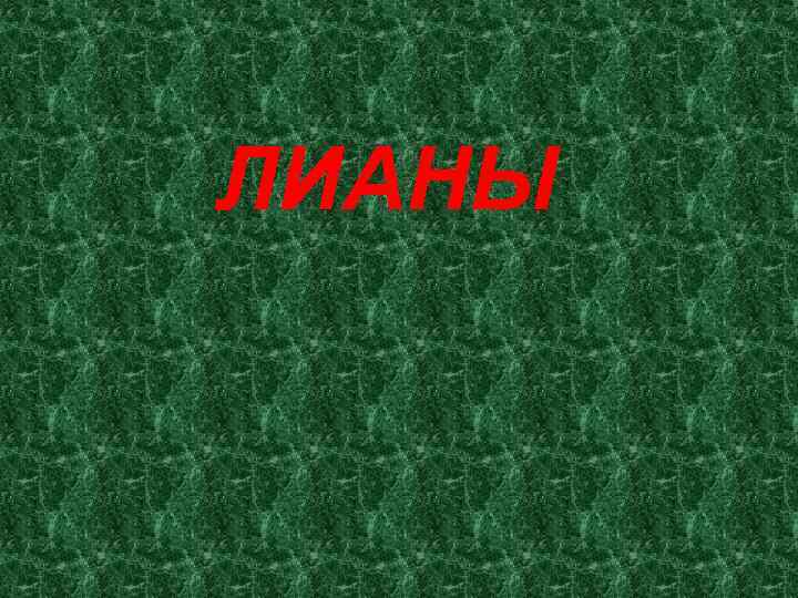 ЛИАНЫ 