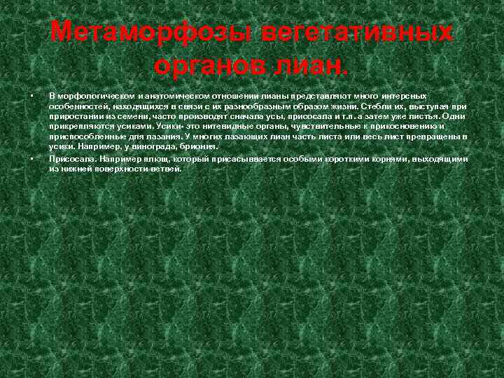 Метаморфозы вегетативных органов лиан. • • В морфологическом и анатомическом отношении лианы представляют много