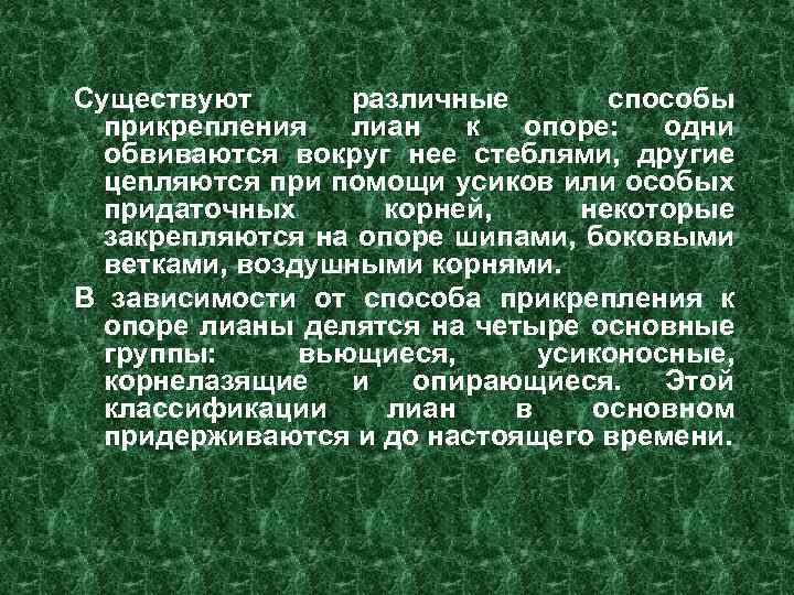 Существуют различные способы прикрепления лиан к опоре: одни обвиваются вокруг нее стеблями, другие цепляются