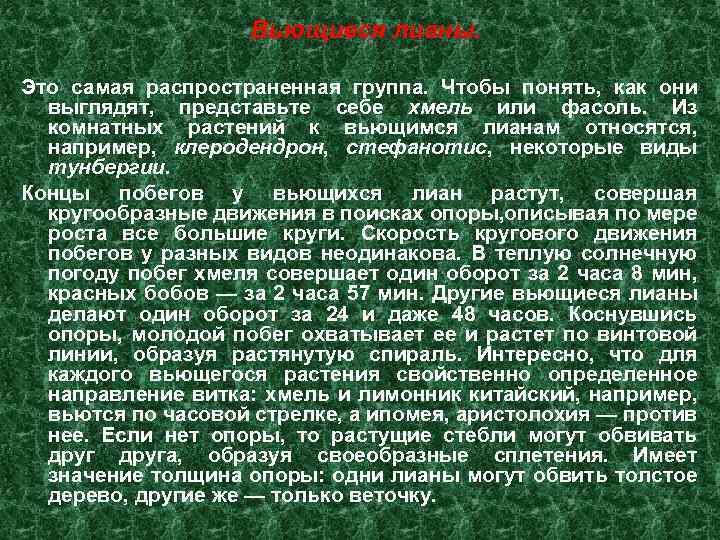Вьющиеся лианы. Это самая распространенная группа. Чтобы понять, как они выглядят, представьте себе хмель