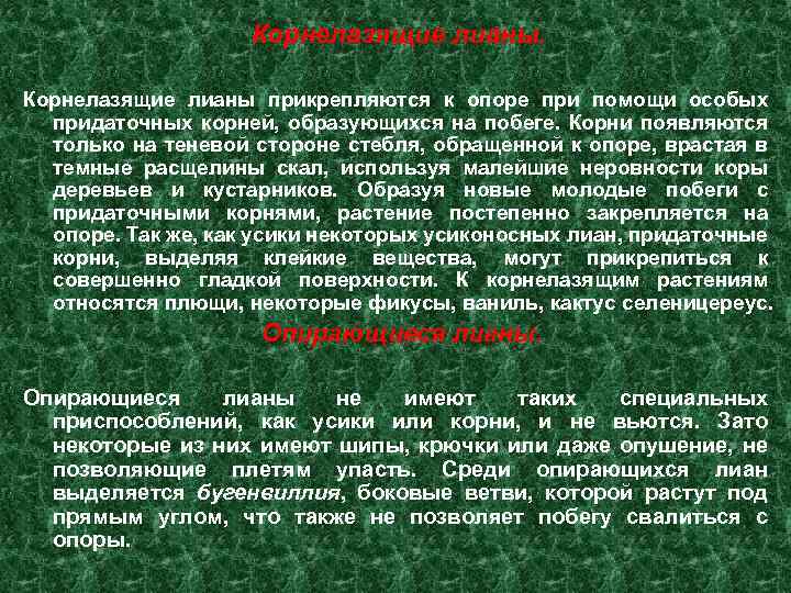 Корнелазящие лианы прикрепляются к опоре при помощи особых придаточных корней, образующихся на побеге. Корни