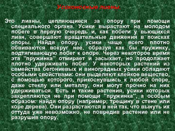 Усиконосные лианы. Это лианы, цепляющиеся за опору при помощи специального органа. Усики вырастают на