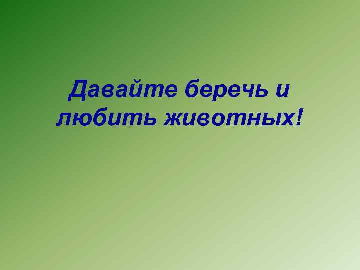 Давайте беречь и любить животных! 