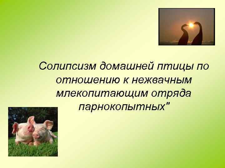 Солипсизм домашней птицы по отношению к нежвачным млекопитающим отряда парнокопытных