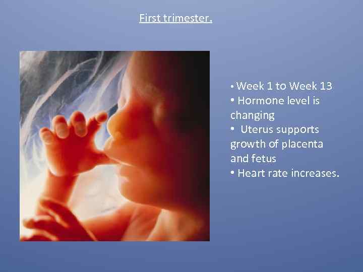 First trimester. • Week 1 to Week 13 • Hormone level is changing •
