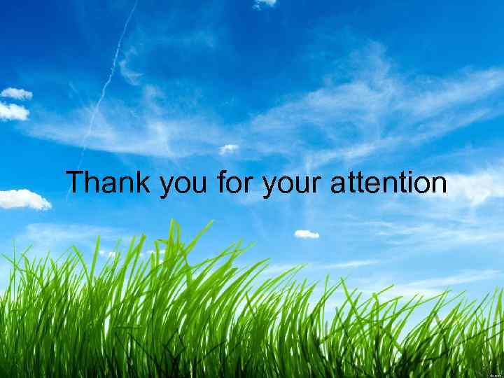 Thank you for your attention 