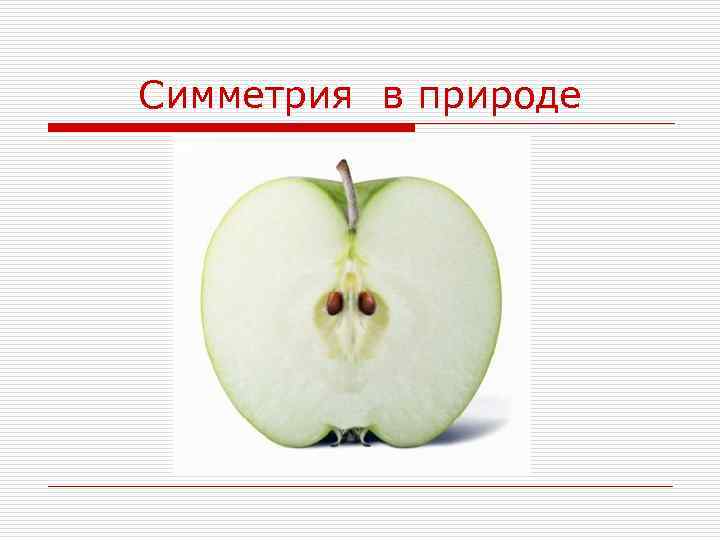 Симметрия в природе 
