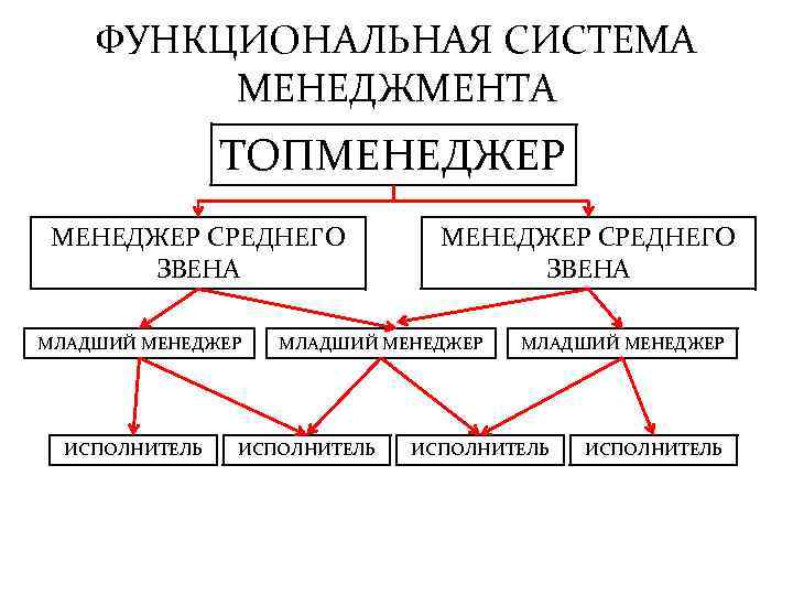 ФУНКЦИОНАЛЬНАЯ СИСТЕМА МЕНЕДЖМЕНТА ТОПМЕНЕДЖЕР СРЕДНЕГО ЗВЕНА МЛАДШИЙ МЕНЕДЖЕР ИСПОЛНИТЕЛЬ ИСПОЛНИТЕЛЬ 