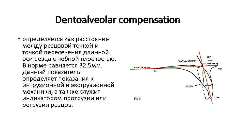 Длинная ось