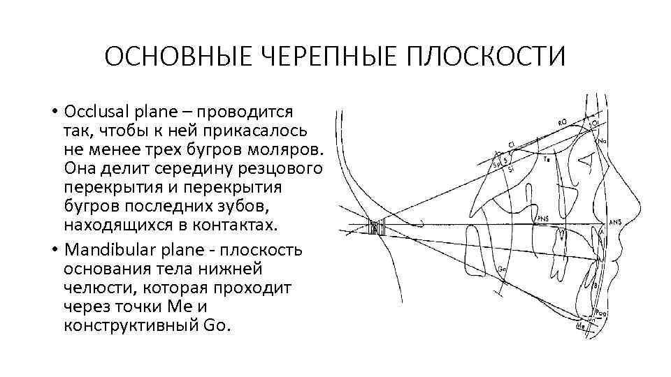 ОСНОВНЫЕ ЧЕРЕПНЫЕ ПЛОСКОСТИ • Occlusal plane – проводится так, чтобы к ней прикасалось не