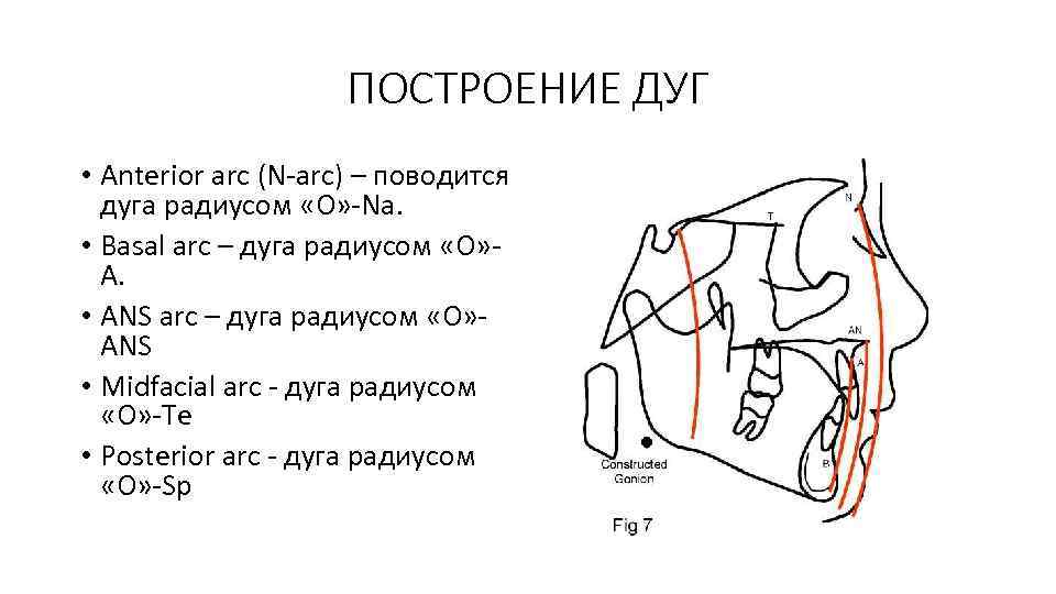 ПОСТРОЕНИЕ ДУГ • Anterior arc (N-arc) – поводится дуга радиусом «О» -Nа. • Basal