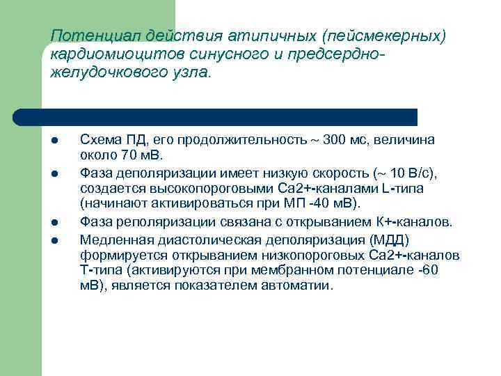 Потенциал действия пейсмекерных. Потенциал действия пейсмекерных кардиомиоцитов. Потенциал действия атипичных кардиомиоцитов. Фазы потенциала действия пейсмекерных клеток. Пд атипичные кардиомиоциты.