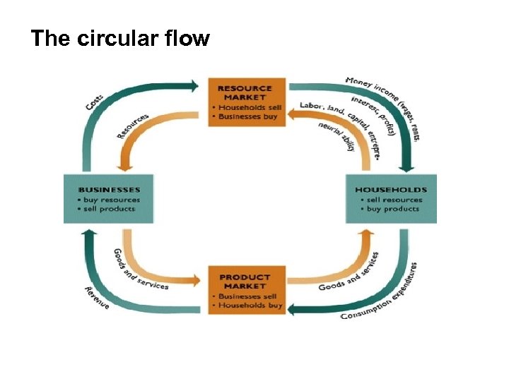 The circular flow 