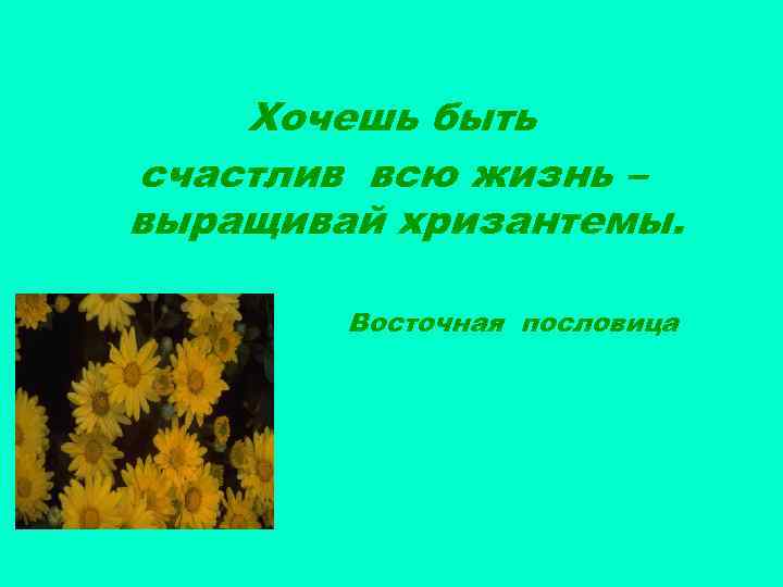 Хочешь быть счастлив всю жизнь – выращивай хризантемы. Восточная пословица 